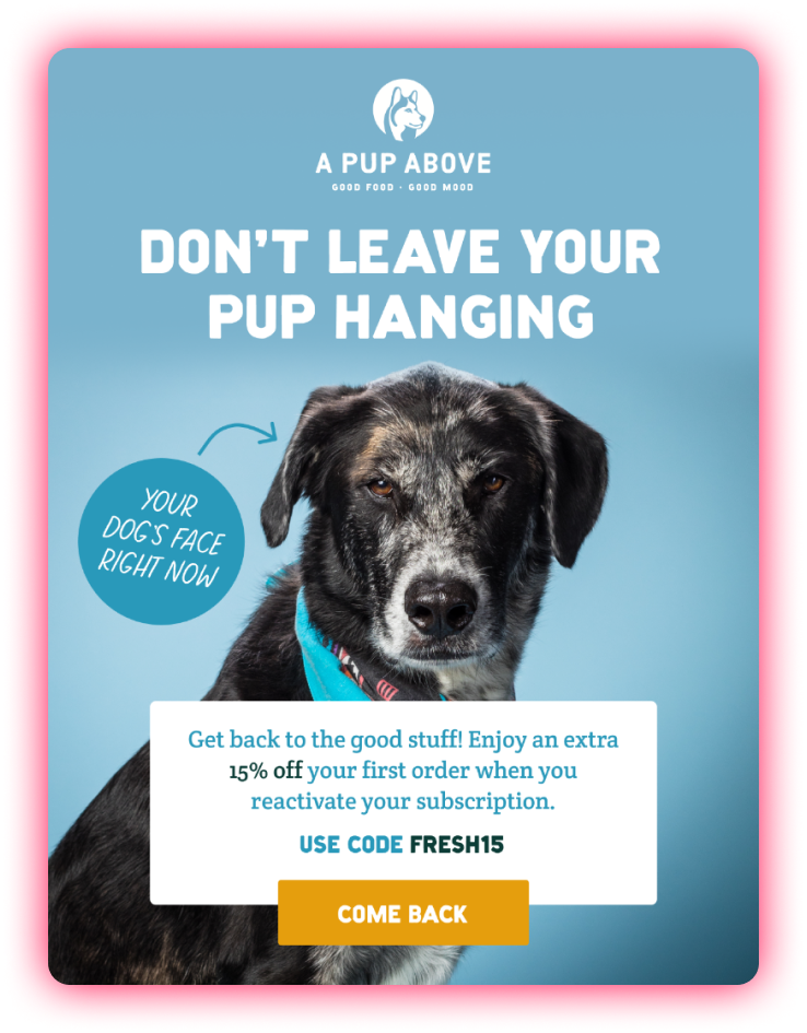 A Pup Above - Winback Email